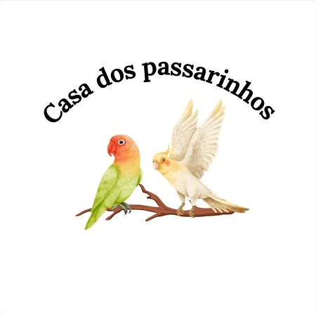 Casa Dos Passarinho'S , Lagos Dış mekan fotoğraf