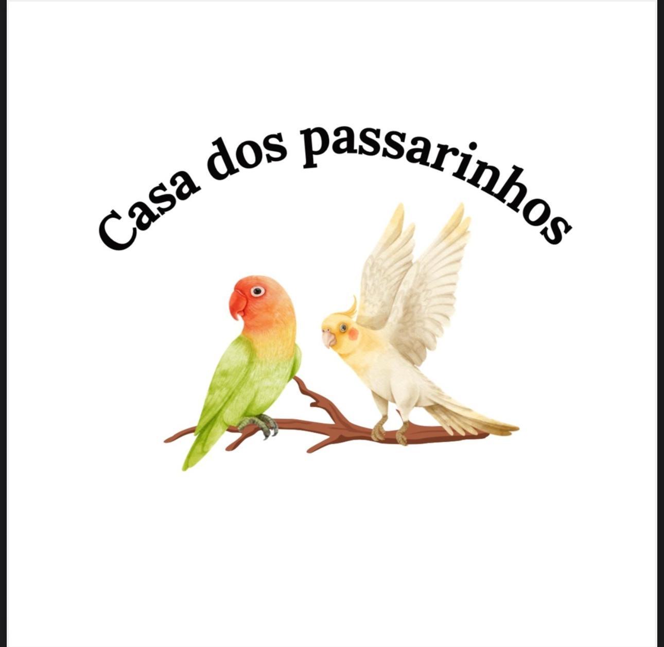 Casa Dos Passarinho'S , Lagos Dış mekan fotoğraf